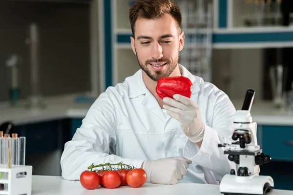 Wissenschaftler untersucht Gemüse — Stockfoto