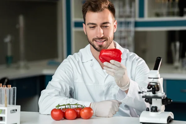 Cientista que examina vegetais — Fotografia de Stock