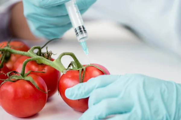 Científico con jeringa y tomates - foto de stock