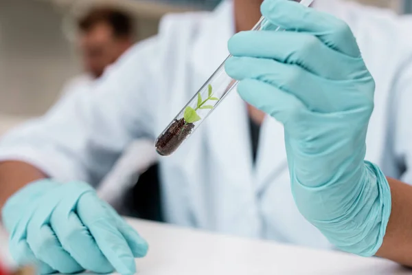 Scientifique tenant une éprouvette — Photo de stock