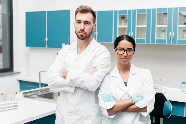 Jóvenes científicos profesionales - foto de stock