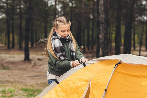 Kid installing camping tent — Stock Photo