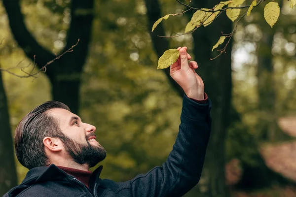 Lächelnder bärtiger Mann im Park — Stockfoto