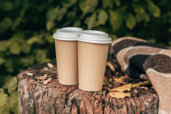 Paper cups in stump — Stock Photo