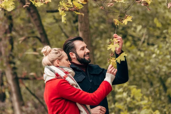 Joyeux couple dans le parc d'automne — Photo de stock