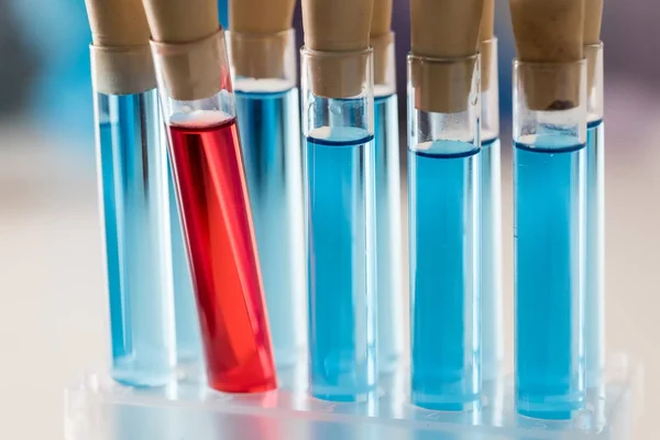 Test tubes with reagents — Stock Photo