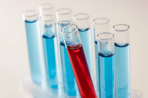 Test tubes with bright liquids — Stock Photo