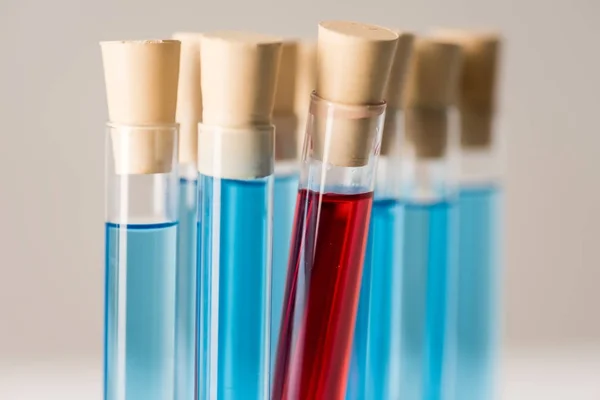 Test tubes — Stock Photo