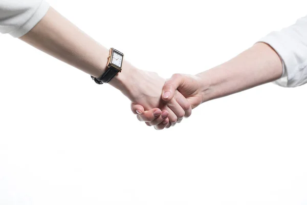 Business partners shaking hands — Stock Photo