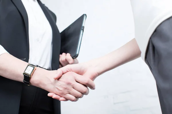 Business partners shaking hands — Stock Photo