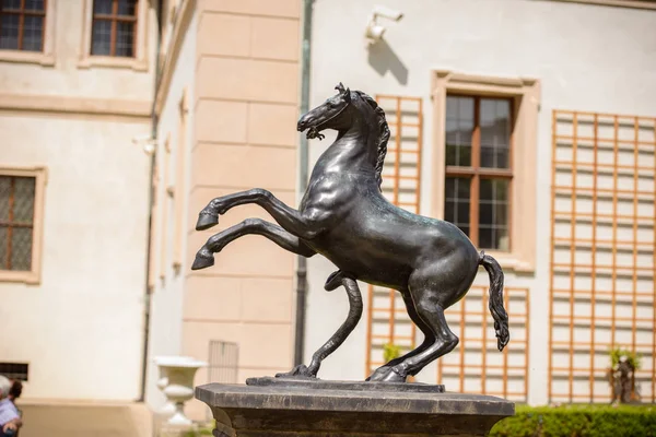 Estátua de cavalo no jardim — Fotografia de Stock