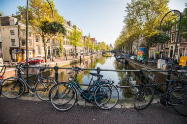 Birçok motosiklet Hollanda