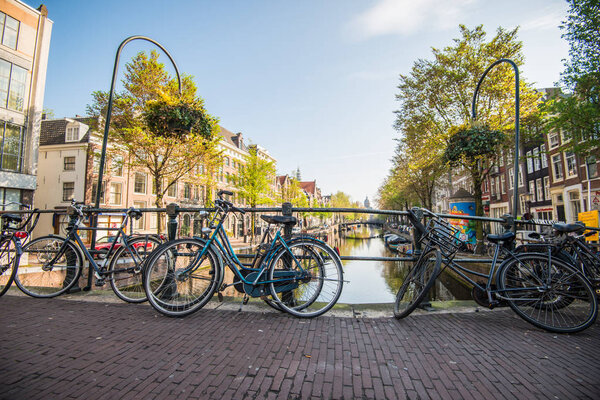 Lots of bikes in the Netherlands