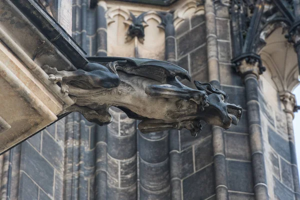 Wasserspeier im gotischen Stil auf der Prager Kathedrale St. Vitus — Stockfoto