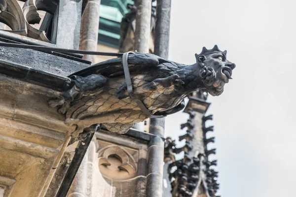 Gotisk stil gargoyle på st vitus cathedral Prag — Stockfoto