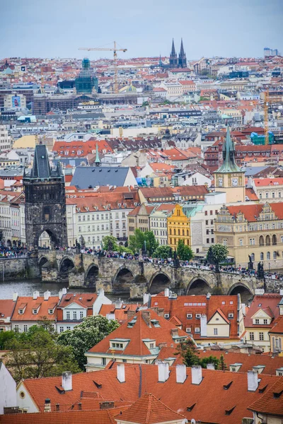 Teleaufnahme aus der Luft vom Petrin-Hügel zu den roten Dächern der Prager Altstadt — Stockfoto