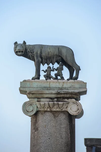 Kapitolińska: Pomnik-Wilczyca Wilczyca karmiąca Romulusa (założyciel Rzymu) i Remus: ikona założenia miasta, Rzym, Włochy — Zdjęcie stockowe