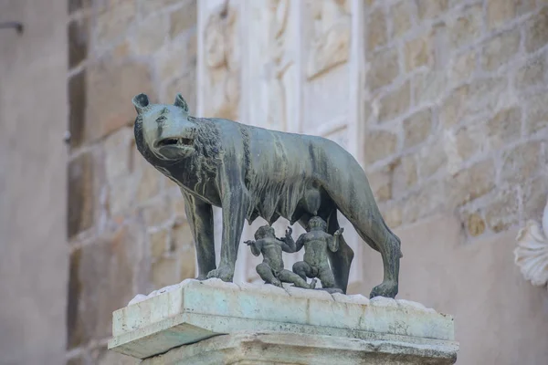 Capitolium varg: Staty av hon-wolfen ammade Romulus (grundare av Rom) och Remus: ikonen för grundandet av staden Rom, Italien — Stockfoto
