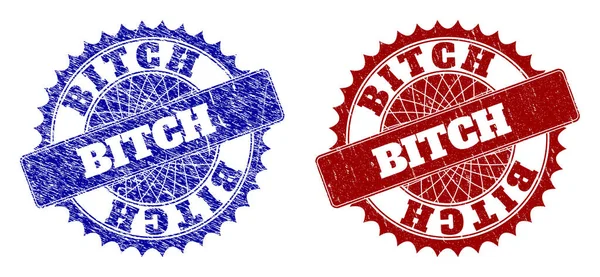 BITCH Blue and Red Rounded Seals with Grunged Textures — Stockvector