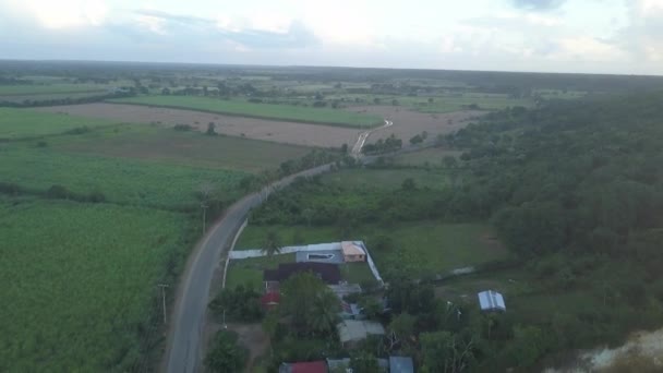 Schilffelder Der Dominikanischen Republik Sonnenuntergang — Stockvideo