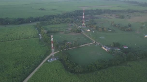 Reedova Pole Dominikánské Republice Pohled Západ Slunce — Stock video