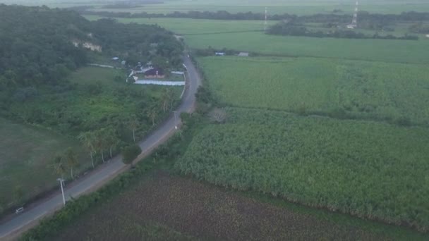 Campos Cultivo República Dominicana Vista Puesta Sol — Vídeos de Stock