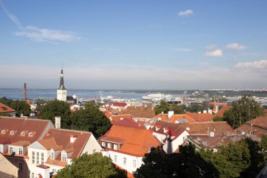 24-27.08.2016 doğal yaz güzel hava manzarası Panoraması Old Town, Tallinn, Estonya