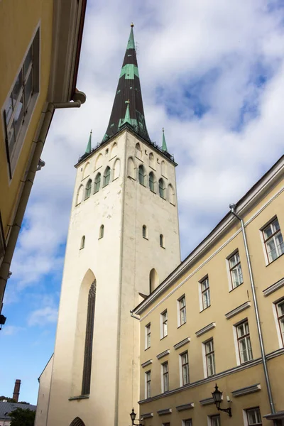 Doğal yaz güzel hava manzarası Panoraması Old Town, Tallinn, Estonya — Stok fotoğraf