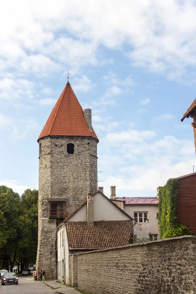 Doğal yaz güzel hava manzarası Panoraması Old Town, Tallinn, Estonya