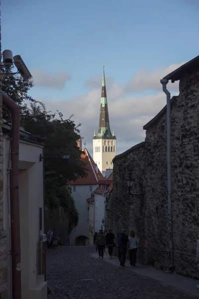 24-27.08.2016 Panorama panoramique de la vieille ville de Tallinn, Estonie — Photo