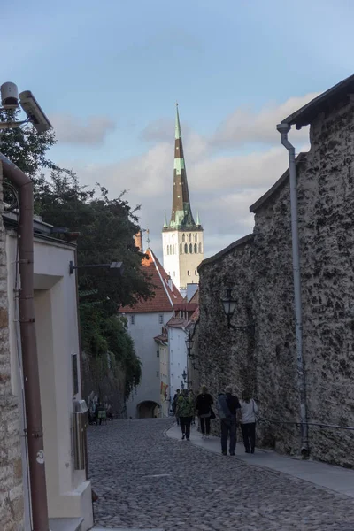 24-27.08.2016 Panorama panoramique de la vieille ville de Tallinn, Estonie — Photo