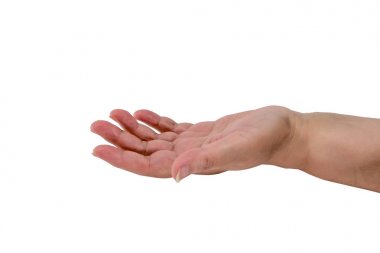 Üst düzey kadın eli beyaz izole