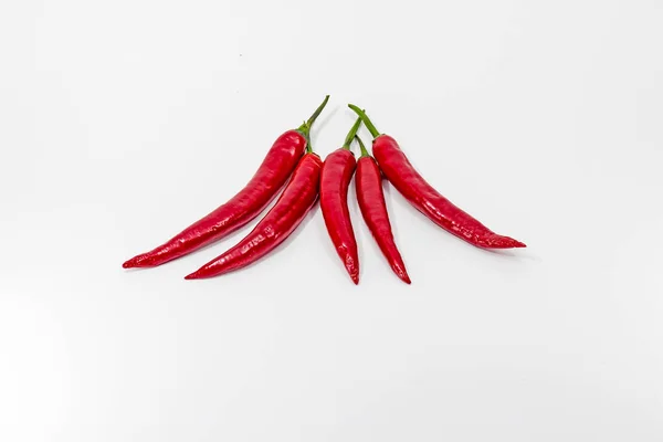 chili keygen exe aida 64 free chili keygen exe aida 64 free