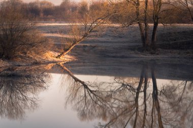 Kutsal bakire güneş ışığı altında Nerl nehrinde şefaat kiliseye görüntülemek.