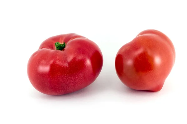 Tomate rojo jugoso — Foto de Stock