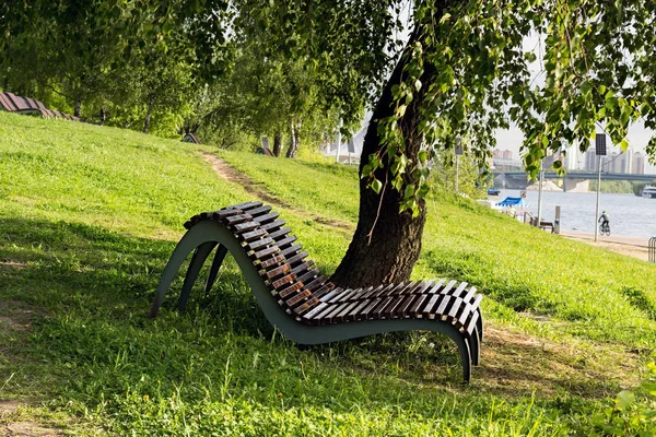 Parkta gölgeli bir ağacın altında ahşap şezlong