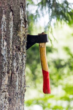 Bir balta ormanda ağaçta sıkışmış