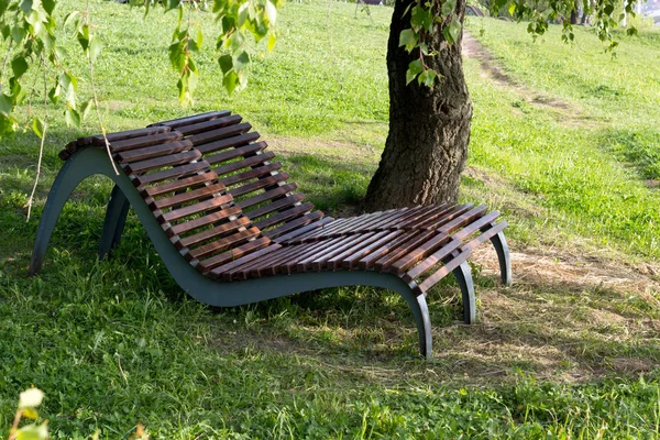 Wooden loungers under a shady tree in the park Stock Photo