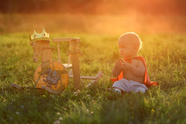 Little boy king sits on the grass with the horse toys. The Princ