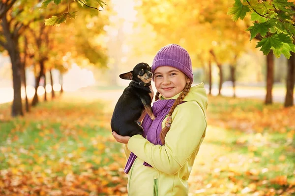 微笑少女放松与 dog.girl 在秋天在户外玩一只小狗. — 图库照片