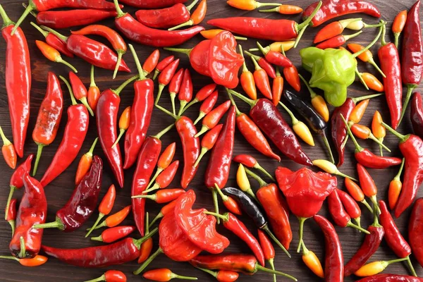 Fresh chilli peppers. — Stock Photo, Image