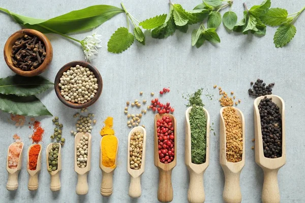 Spices and herbs. — Stock Photo, Image