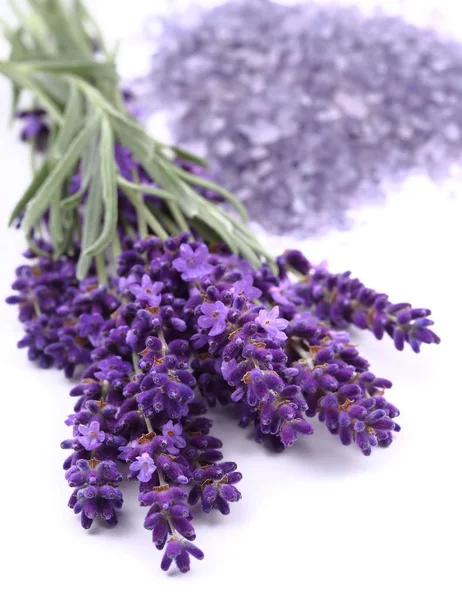 Boeket Van Lavendel Een Witte Achtergrond Lavendel Badzout — Stockfoto