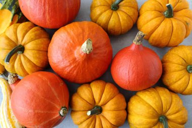 Sonbahar hasat, turuncu kabak gri seramik zemin.