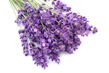 Bouquet of lavender clipart