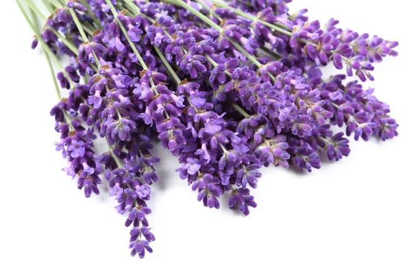 Bouquet di lavanda — Foto Stock