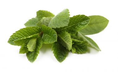 Aromatik taze nane ve adaçayı.