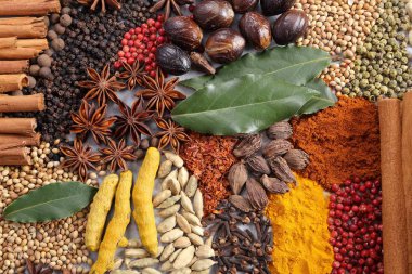 Bitkiler ve baharatlar..