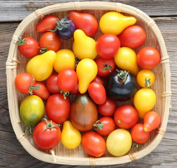 Tomaten. — Stockfoto