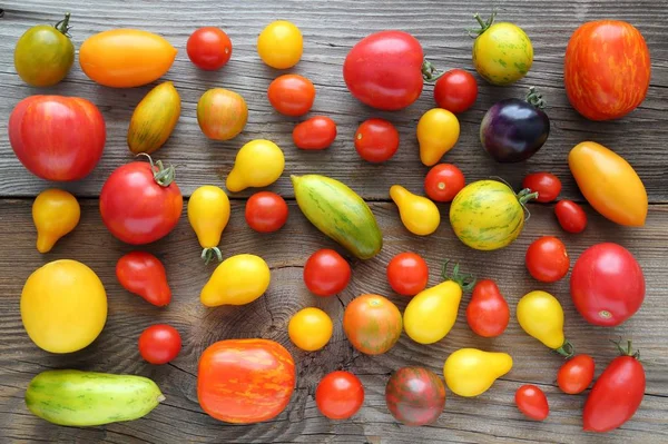 Tomates. — Foto de Stock